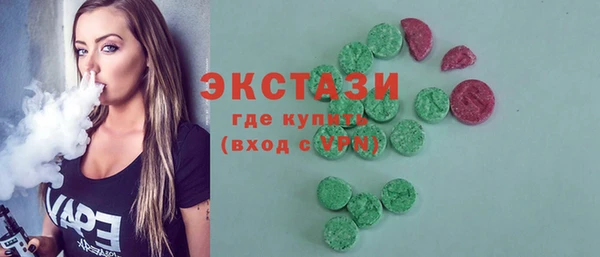 гашик Пестово