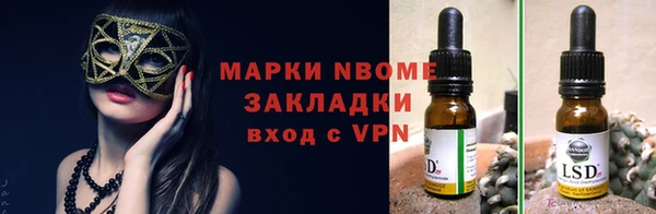 гашик Пестово