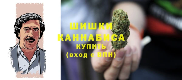 гашик Пестово