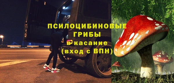 бутират Переславль-Залесский