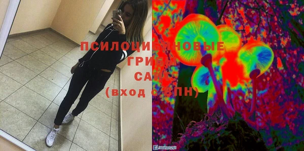 гашик Пестово