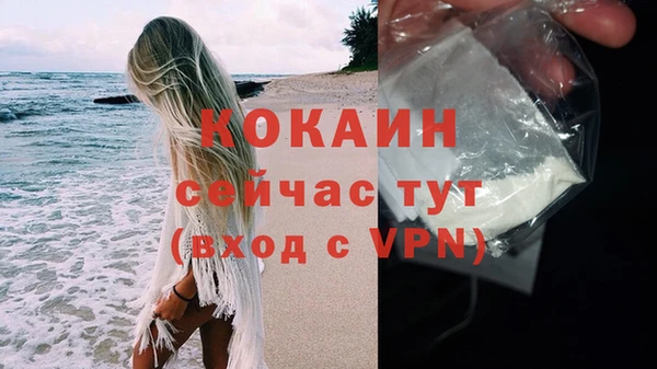 гашик Пестово