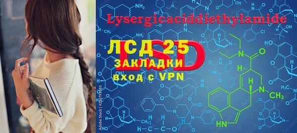 гашик Пестово