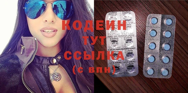 гашик Пестово