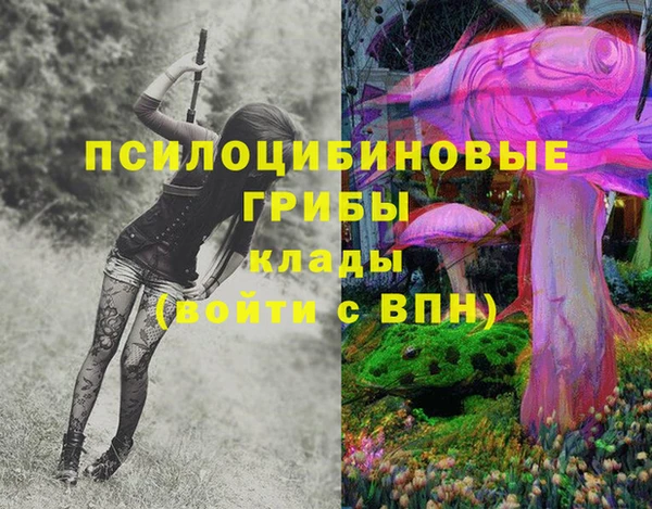 гашик Пестово