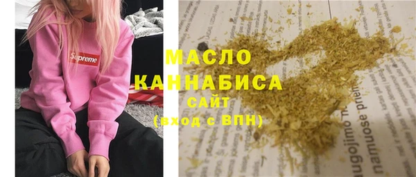 гашик Пестово