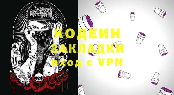 гашик Пестово
