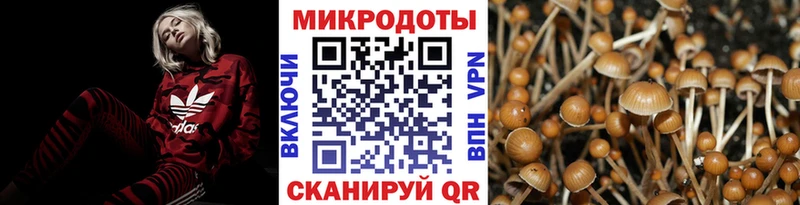 Галлюциногенные грибы GOLDEN TEACHER Константиновск