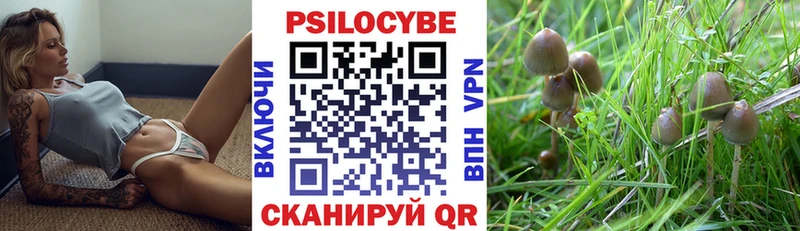 Псилоцибиновые грибы Psilocybe  Константиновск 